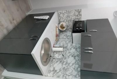 Apartament cu 2 camere decomandat în Căciulata - 3