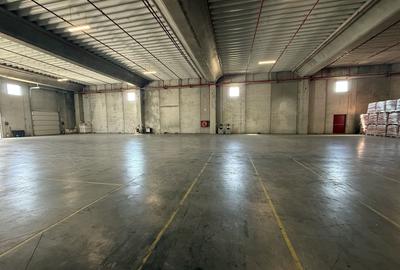 Spațiu industrial, de 5,000 mp, în Nord - 10