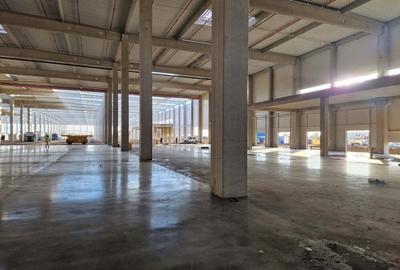 Spatiu industrial - 2