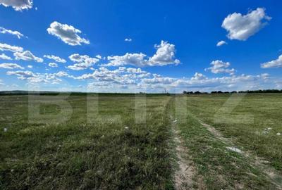 Teren extravilan, 2.800 mp, doua fronturi, Izvorul Rece - 4