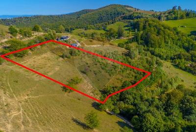 Teren extravilan 6,014mp | Holbav | BRASOV | COMISION 0| - 1