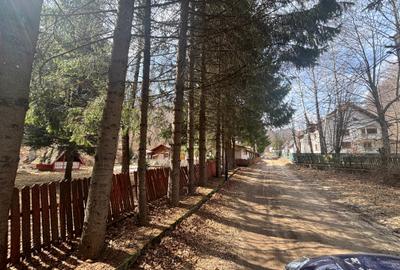 Teren agricol extravilan de 39.5 mp, în Măneciu - 1