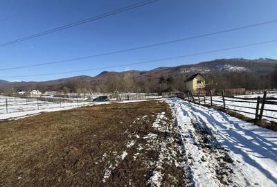 Teren Construcții intravilan de 4521 mp, în Valea Doftanei - 3