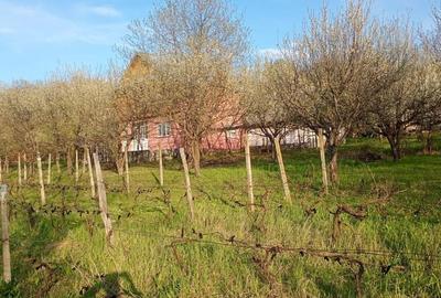 Casă cu 3 camere în Dancu - 1