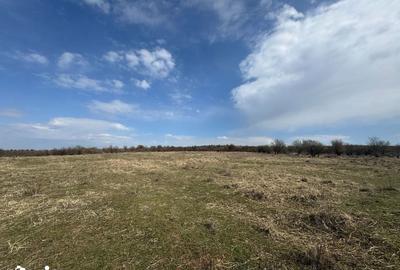 Teren de 10262 mp, în Central