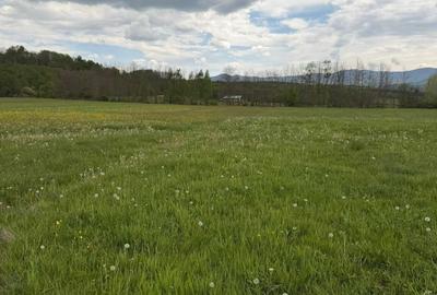 Teren de 3000 mp, în Șinca - 1