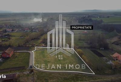 Teren de 5260 mp, în Reci - 3