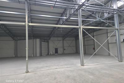 Spațiu industrial, de 1,500 mp, în Mogoșoaia - 25