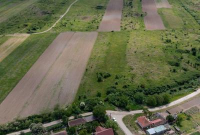 Teren de 5000 mp, în Urseni - 4