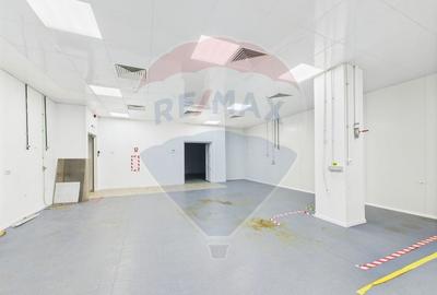 Spatiu multifunctional de birouri si productie langa Kaufland Vitan Spatiu multifunctional de birouri si productie langa Kaufland Vitan - 13