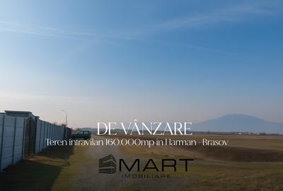 Teren Intravilan 160.000 mp Harman - 1