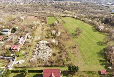 Mountain Plateau - 23.345 SQM - Exclusive Estate | Jud Prahova - Valea Prahovei - 1