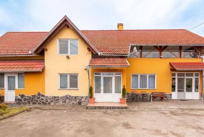 Casă spațioasă cu garaj dublu, foișor și curte amenajată - 2