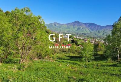 Teren extravilan de vanzare, Bistrita Bargaului- 10 minute de Colibita - 3