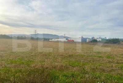 Teren de 11000 mp, în Ampoi 3