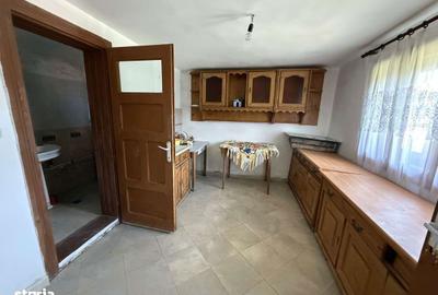 Casă cu 4 camere cu Teren 11000 Mp în Săliște - 4