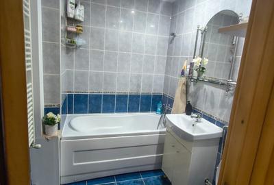 Apartament cu 2 camere semidecomandat, mobilat în Podu Roș - 9