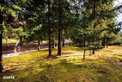 Spațiu comercial, de 300 mp, în Arieșeni - 7