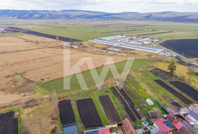 Teren 10000 mp in Extravilan, Bod, Brasov- COMISION 0% - 14