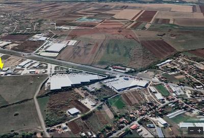 Hala Industriala, Parcul Industrial, Bors, De Inchiriat - 14