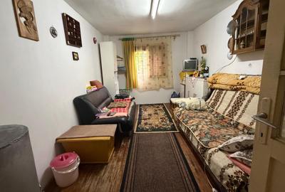 Casa de vinificatie in Viile Tieamului Carei - 11