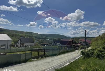 Teren de 2307 mp, în Ciurila - 7