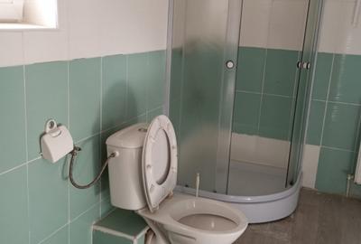 Casă cu 15 camere cu Teren 400 Mp în Timișoara - 1