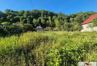 Casa de vanzare in Trampoiele - Zlatna Casa de vanzare in Trampoiele - Zlatna - 11
