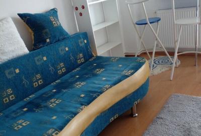 Apartament 1 camera Radu Negru - 5