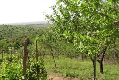 Teren de 3150 mp, în Tohani - 5