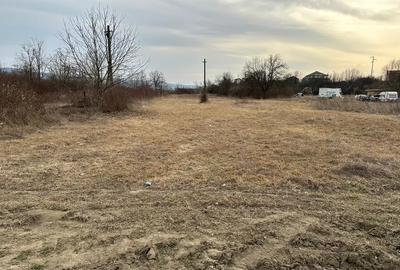 Teren de 6726 mp, în Ostroveni - 3