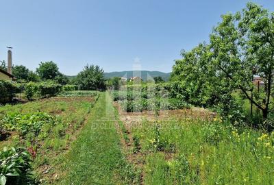 Teren Construcții intravilan de 1400 mp, în Nord-Est - 7