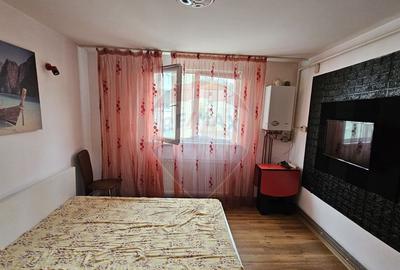 Apartament cu 1 camere de inchiriat - 1