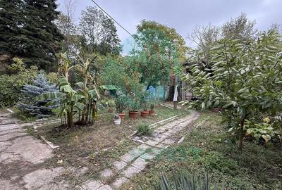 Apartament 3 camere  pe Șoseaua Kiseleff -locuință sau birou Apartament 3 camere  pe Șoseaua Kiseleff -locuință sau birou - 8