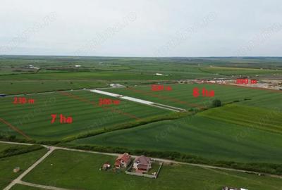 Teren de 70000 mp, în Remetea Mare - 2