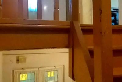 Casă cu 3 camere în Parcul Carol - 1