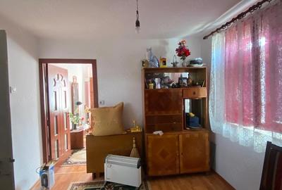 Casă cu Teren 3300 Mp în Central - 6