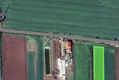 Spațiu comercial, în Carani - 2