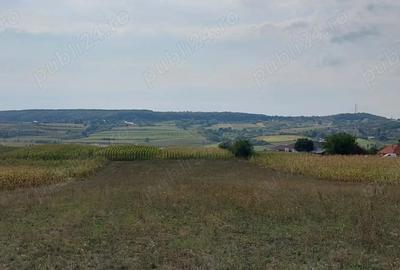 Teren de 18000 mp, în Drăgești - 1