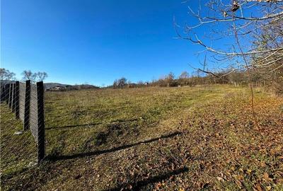 Teren intravilan - 1000mp - Pausesti Maglas | VALCEA - 3