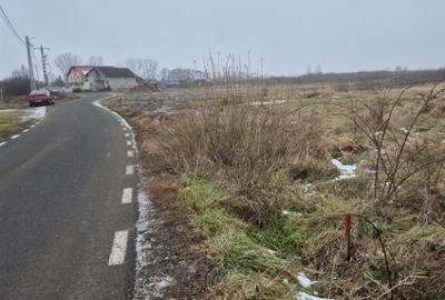 Seini, str. Tineretului, 60 ari teren - 2