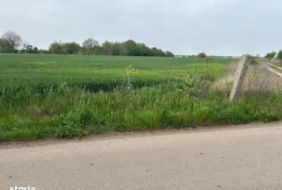 Spațiu comercial, în Dascălu - 5