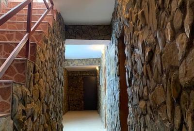 Spațiu comercial, de 510 mp, în Mărgineni - 10