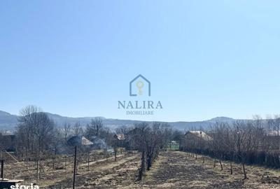 Casă cu 3 camere decomandat cu Teren 5000 Mp în Șișești - 15