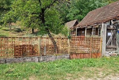 Teren de 685 mp, în Moneasa - 5