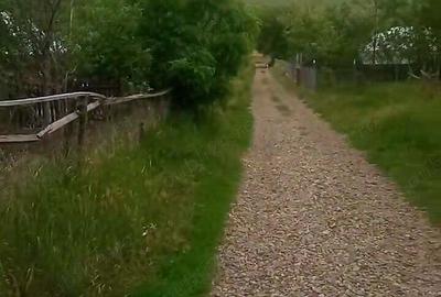 Casa cu teren intravilan 2800 mp in Vladeni (Corlateni), Botosani - 1