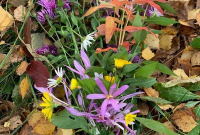 Spațiu comercial, în Podul Vadului - 3