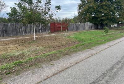 Spațiu comercial, în Almaș - 3