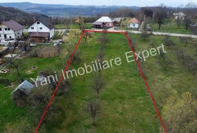 Teren în Borovinești - 3