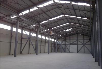 Spatiu Industrial - 700 mp - Logistica - Depozitare - Distributie - 2